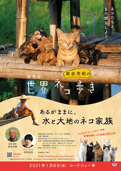 1/29（金）より＜ 岩合光昭監督・中村倫也 特別映像付き上映＞が決定！ 