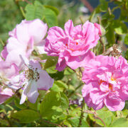 バスボム作り体験💖