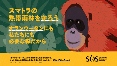 【チャリティ商品】オランウータンボム発売🍃