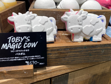 人気バスボム入荷しました！🐄