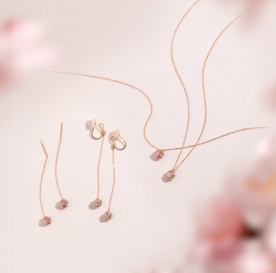 春に向けて・・・🌸