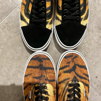 🐅🐅🐅