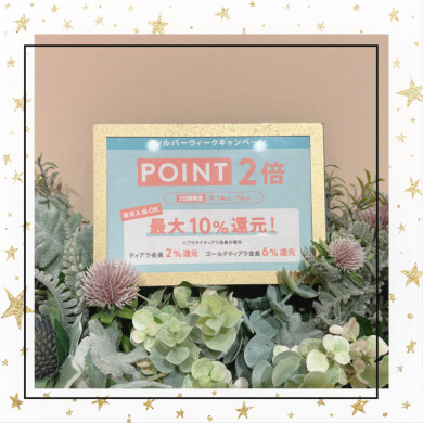 🩵ポイント2倍🩵