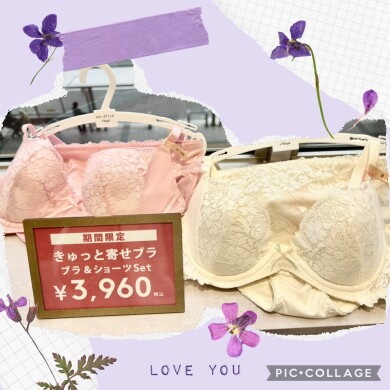 ¥3960ジャストプライス🌳