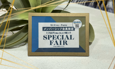 special fair💎