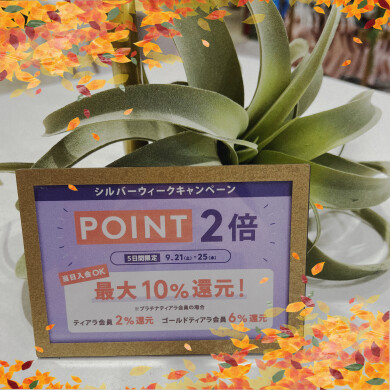 ✨シルバーウィークキャンペーン✨