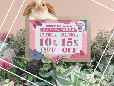 会員様限定キャンペーン💎