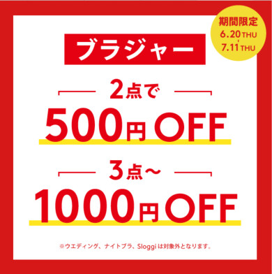 ✨SPECIAL PRICE✨