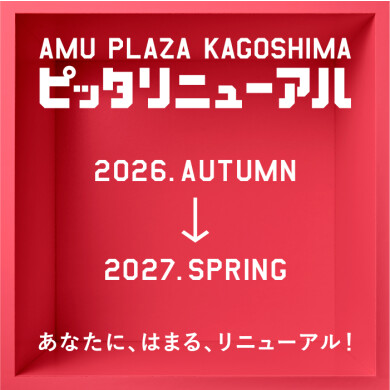 ピッタリニューアル