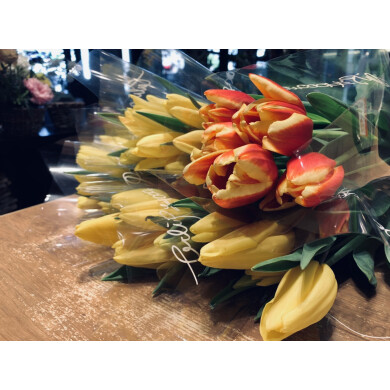 春のお花🌷