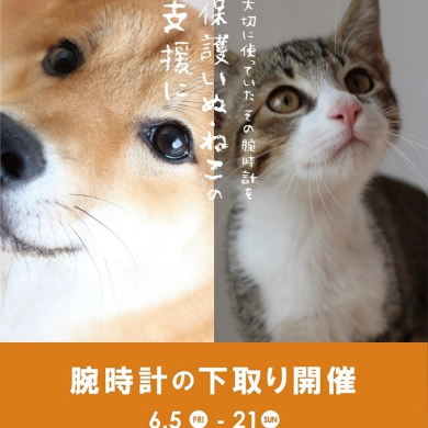 【腕時計下取りキャンペーン】保護いぬ・ねこの支援に。(6/5(金)〜6/21(日)まで)