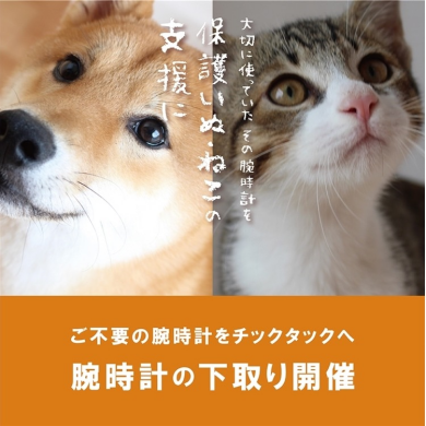 【腕時計下取りキャンペーン】10/31(土) まで!保護いぬ・ねこの支援に。