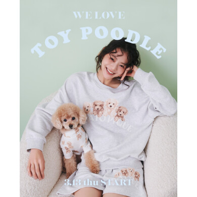 【3/13 (THU) WE LOVE TOY POODLE 販売スタート！】