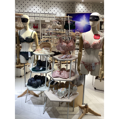 🆕年間ビジュアル 本日より公開📸