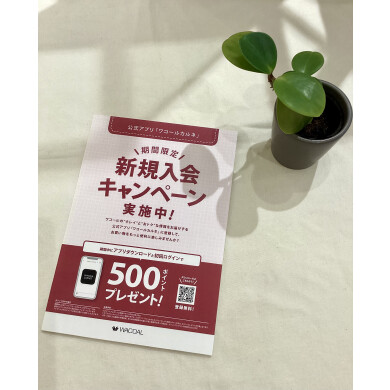 新規様限定キャンペーン🆕ご登録でポイントGET🌟