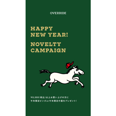 HAPPY NEW YEAR！ NOVELTY CAMPAIGN