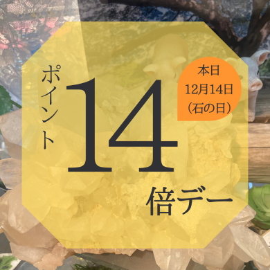 ⭐️ポイント14倍⭐️