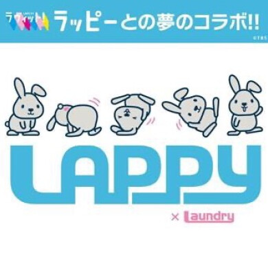 夢のコラボ 『laundry✖️ラヴィットラッピー』