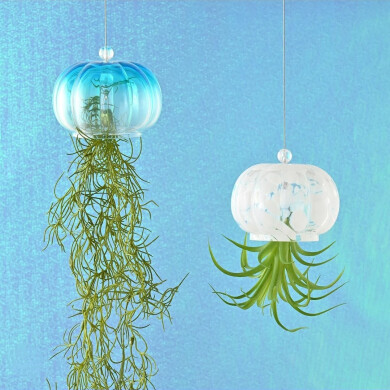【NEW】吊るして飾る🕊‪🌱‬クラゲモチーフのアートグリーン🪼🫧‪𓂃 𓈒𓏸