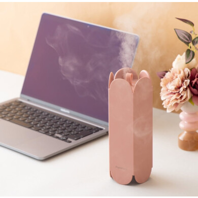 【NEW】コードレスでどこでも使える🩷トレンドライクな加湿器𓂃🫧