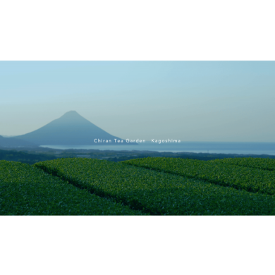 知覧茶園movie